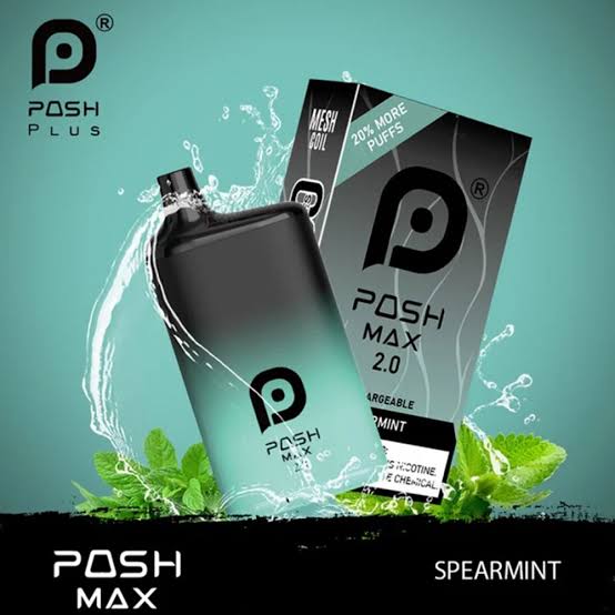 Posh Max 2.0 5200 Puffs Spearmint Puff Bros Posh Max 2.0 5200 Puffs Spearmint Puff Bros