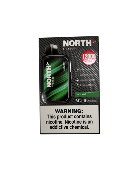 North Cool Mint FT12000 Puffs