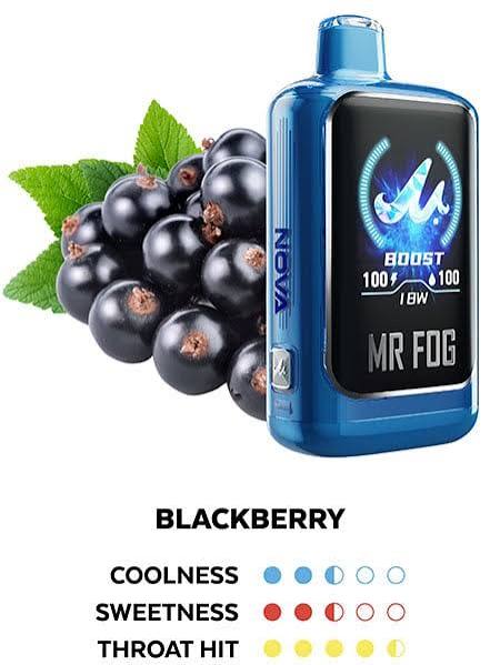 Mr.Fog Blackberry 36,000 Puffs BlueRazz Steezy Edition